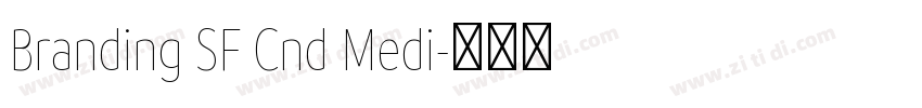 Branding SF Cnd Medi字体转换